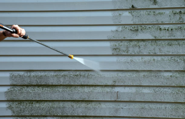 Best Patio and Deck Pressure Washing  in Lynwood, IL